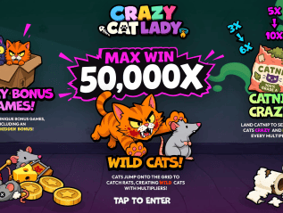 Crazy Cat Lady – Slot&nbsp;Game